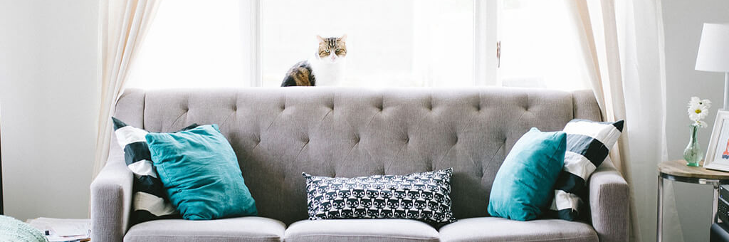 As Novas Medidas de Apoio Crédito Habitação